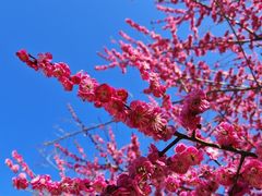 -汉长安城未央宫国家考古遗址公园