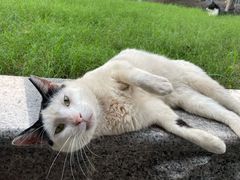 -陆家嘴世纪金融广场