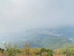 -梧桐山风景名胜区