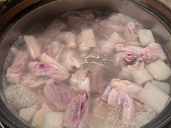 -烹然四季椰子鸡火锅(姚家园万象汇店)