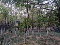 android_upload_pic-八大关景区