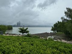 -深圳湾公园(南山区)