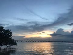 -宝安西湾红树林湿地公园