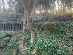 -唐崖土司城遗址