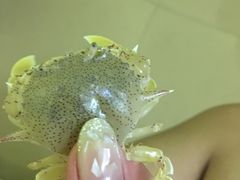 -西涌国际滨海旅游区