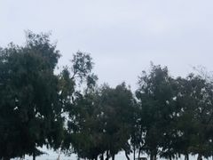 -阿弟特色海鲜餐厅·大排档(平潭店)