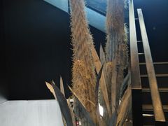 -必胜客(紫竹桥苏宁店)
