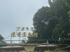 -丁老爷子苏香圆