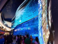-迪拜水族馆及水下动物园