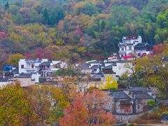 -塔川景区
