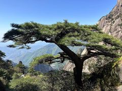 -黄山风景区