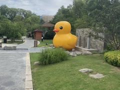 -思念果岭悦温泉