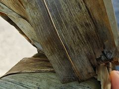 秦馃-吴氏手工麻糍