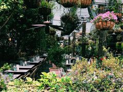 -The Grounds of Alexandria