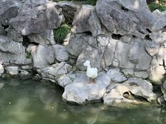 -豫园