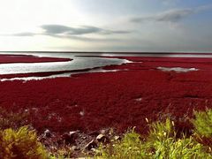 -红海滩国家风景廊道