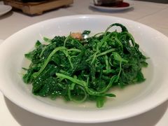 -利苑酒家(华熙国际店)