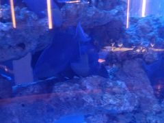 -上和臻品中国菜(花园街店)