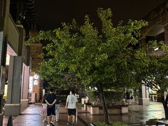 -同济大学(嘉定校区)