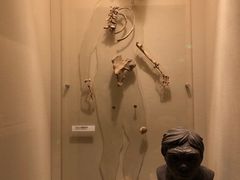 -辽宁省博物馆