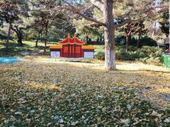 -宣武艺园
