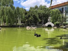 -舜耕山庄四时万和自助餐厅