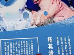 -爱侣宠医·鹦鹉专科·小型哺乳类·异宠专科(灵石路店)