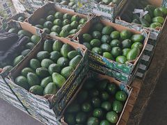 -东方鼎信农副产品交易中心