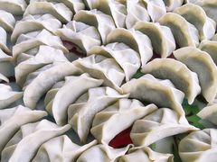 -李宁体育园