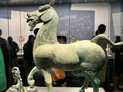 -广西壮族自治区博物馆