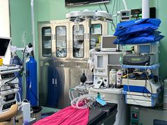 -pd派德宠物中心医院24H急重症·眼科中心·血液透析中心(嵩山北路店)