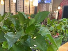-小城外婆肴私房菜.家宴聚集点(圆明园颐和园·清河上地店)