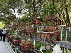 -荆川公园