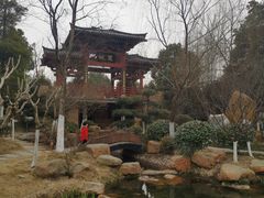 -武汉园博园(武汉自然博物馆)