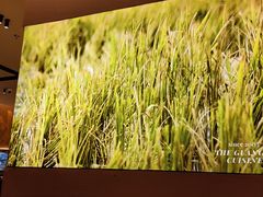 -桂小厨广西菜(水晶城店)
