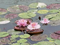 -国家植物园南园