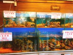 -真浪花园海鲜餐馆