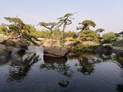 -罗红摄影艺术馆