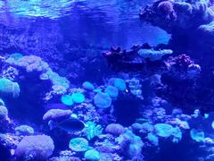 -太平洋海底世界