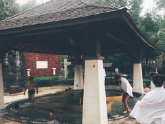 -天目湖涵田半山温泉