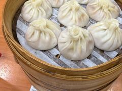 -莱莱小笼·乔艾