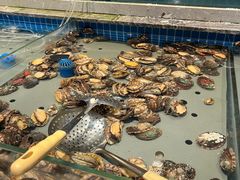 -一方渔歌蒸汽海鲜自助(文化路万达广场店)