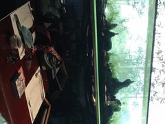 -泰谷酒店·太古码头闽菜自助餐厅