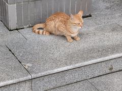 -江南大学(蠡湖校区)
