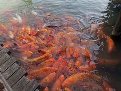 -75幢私房菜馆