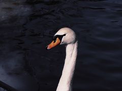 -北京动物园熊猫馆