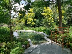 -和顺柏联温泉