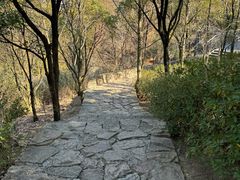 -天台山琼台仙谷景区