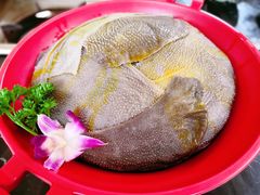 -二荆条·蜀鲜汇城市森林火锅