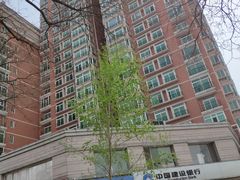 -中国建设银行(北京紫竹桥支行)